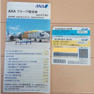 エーエヌエー(ゼンニッポンクウユ)(ANA(全日本空輸))のANA 株主優待券 2枚 (①～24年11月30日まで②～24年5月31日まで(航空券)