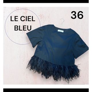 ルシェルブルー(LE CIEL BLEU)の【LE CIEL BLEU】フェザー付き半袖トップス．(Tシャツ/カットソー(半袖/袖なし))