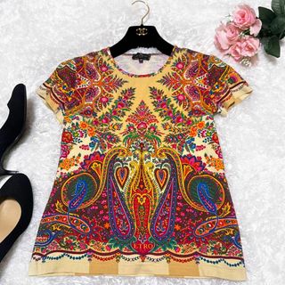 エトロ(ETRO)のETRO エトロ 半袖 Tシャツ トップス ペイズリー柄 マルチカラー(Tシャツ(半袖/袖なし))