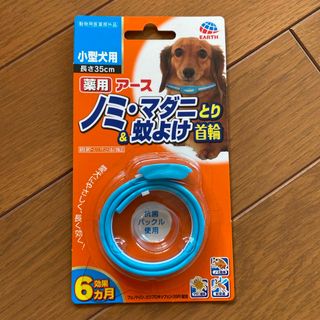 薬用ノミ・マダニとり&蚊よけ首輪 小型犬用(その他)