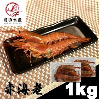 【天然！】赤えび　1kg　お刺身用　(尾約30-45g前後）　あかえび　アカエビ　赤エビ　蝦　海老　えび　アルゼンチン赤海老(魚介)