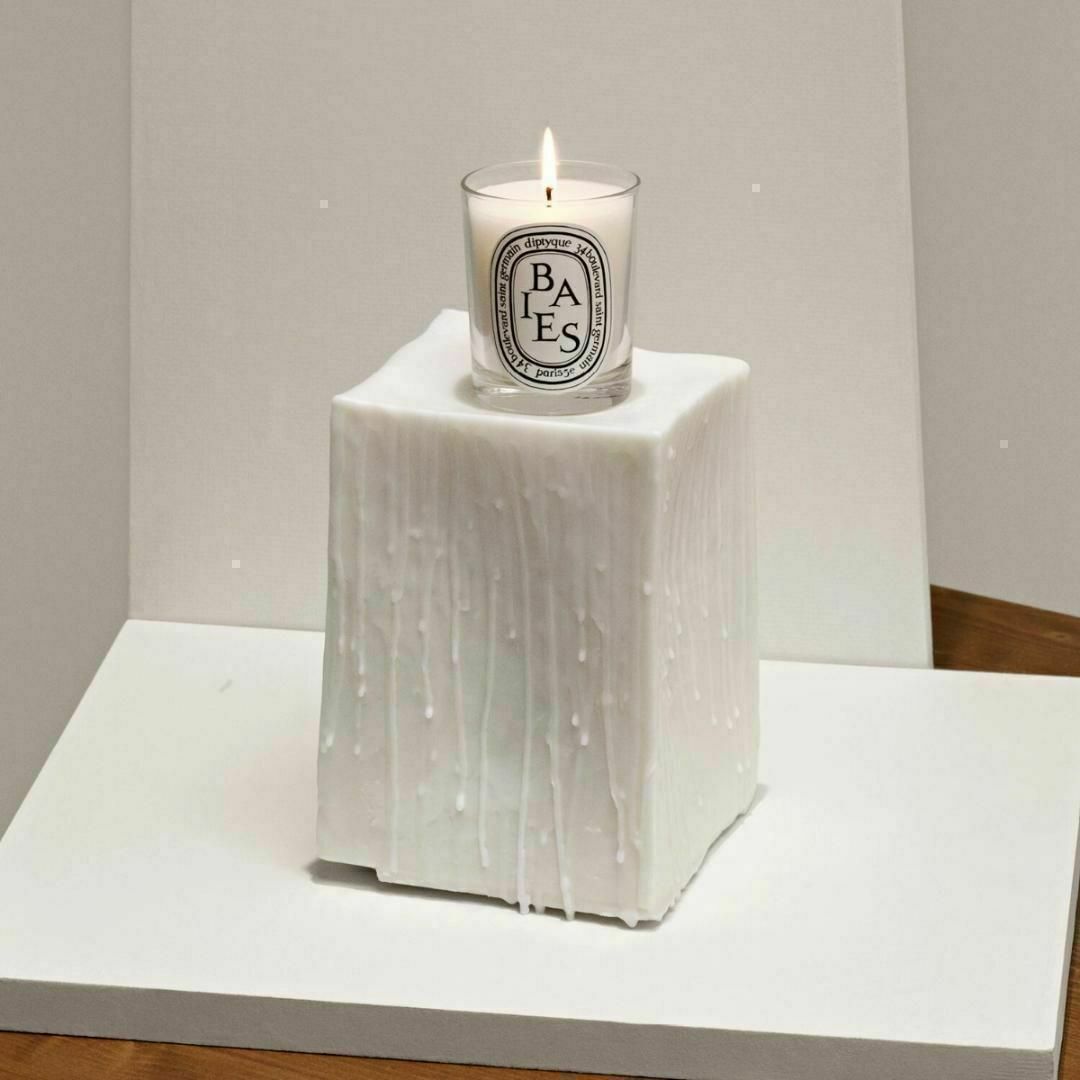 DIPTYQUE BAIES キャンドル べ 190g　② コスメ/美容のリラクゼーション(キャンドル)の商品写真