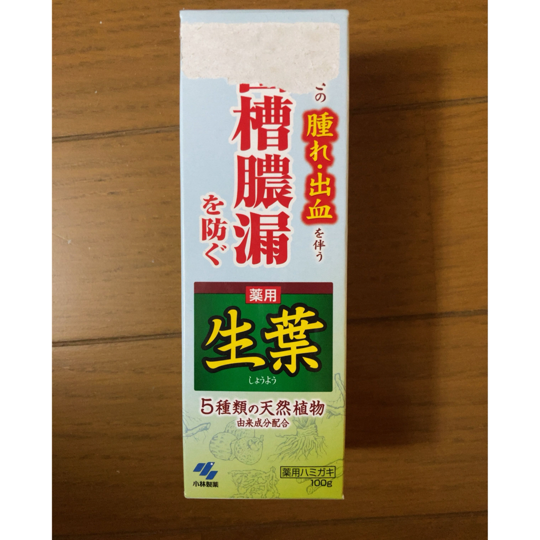 新品 薬用 生葉歯磨き粉 100g 送料込み コスメ/美容のオーラルケア(歯磨き粉)の商品写真