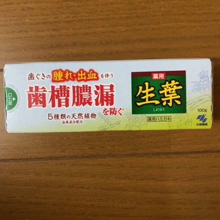 新品 薬用 生葉歯磨き粉 100g 送料込み(歯磨き粉)