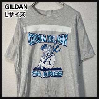 ギルタン(GILDAN)の【ギルダン】半袖Tシャツ　ポセイドン　カレッジロゴ　デカロゴ　霜降りグレー74(Tシャツ/カットソー(半袖/袖なし))