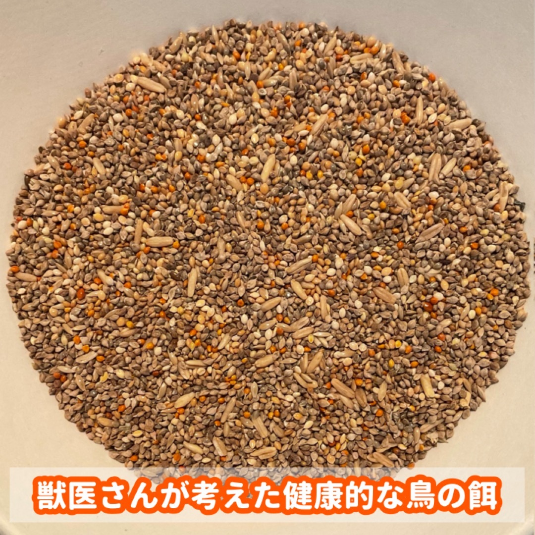 【2番人気商品】獣医さんが考えた健康的な鳥の餌 800ｇ その他のペット用品(鳥)の商品写真