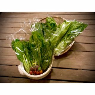 野菜ソムリエ推奨！鍋におすすめの野菜詰合せセット【香りと食味を楽しむ8品目】(野菜)