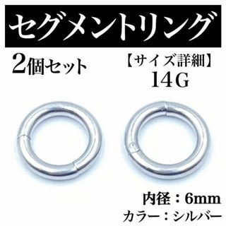 セグメントリング 14G 2本 フープピアス ボディピアス シルバー BP177(ピアス(片耳用))