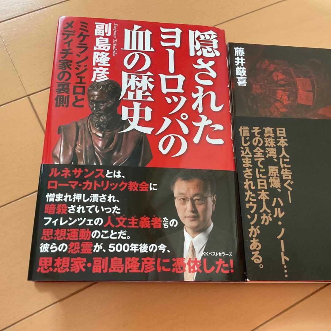 隠されたヨ－ロッパの血の歴史　➕太平洋戦争の嘘　二冊での価格✨ エンタメ/ホビーの本(人文/社会)の商品写真