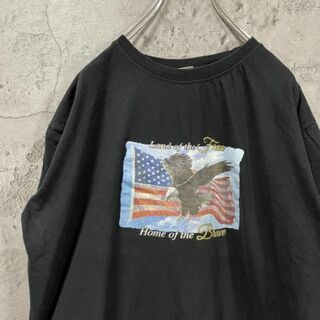 Home of the Brave ワシ 星条旗 USA輸入 Tシャツ(Tシャツ/カットソー(半袖/袖なし))