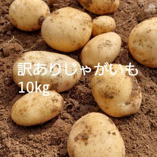 長崎県産訳ありじゃがいも10㎏(野菜)