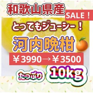 和歌山有田産 河内晩柑たっぷり10kg(フルーツ)