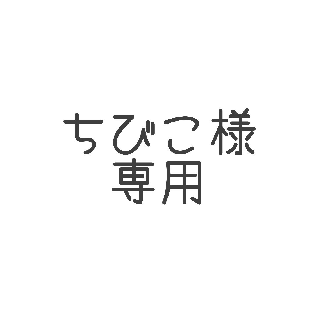 ちびこ様専用 エンタメ/ホビーのおもちゃ/ぬいぐるみ(ぬいぐるみ)の商品写真