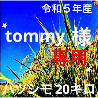 ⭐️tommy様専用⭐️R５年✳️５回選別・有機・無添加ハツシモ20キロ(米/穀物)