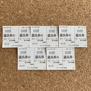 堺　ハーベストの丘　遊具券×５枚(遊園地/テーマパーク)