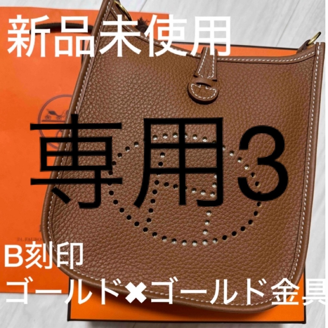 Hermes(エルメス)のミニエブ　専用3 レディースのバッグ(ショルダーバッグ)の商品写真