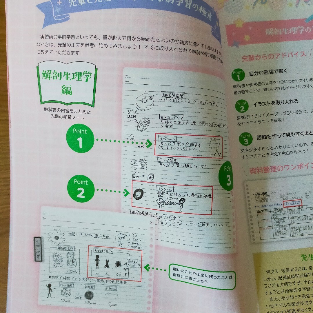 クリニカルスタディ ２０２２年１２月号 （メヂカルフレンド社） エンタメ/ホビーの本(健康/医学)の商品写真