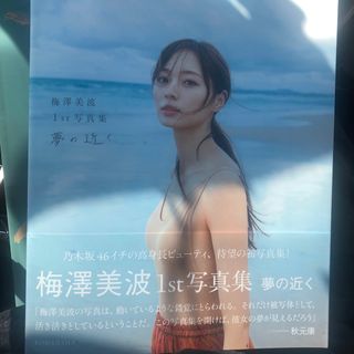 ノギザカフォーティーシックス(乃木坂46)の梅澤美波　　写真集　　帯あり　　特典付(アイドルグッズ)