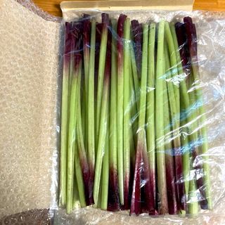 ふき　1kg(箱込みで) 島根県産(野菜)