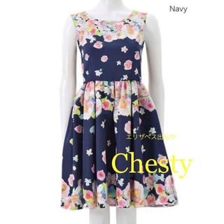 チェスティ(Chesty)のChesty グラデーション ローズ フラワー ワンピース 薔薇 チェスティ(ひざ丈ワンピース)