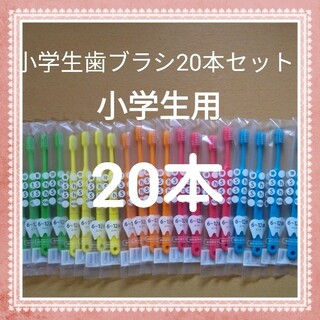 【240】歯科専売　小学生歯ブラシ「ふつう20本」(歯ブラシ/歯みがき用品)