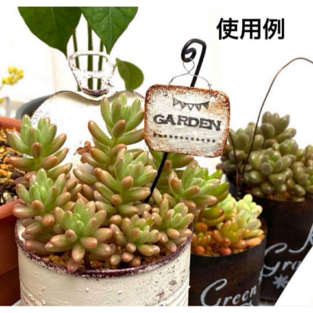 ガーデンピック 【HOUSE】 多肉植物 寄せ植え リメ缶 ガーデン雑貨 ハンドメイドのフラワー/ガーデン(その他)の商品写真