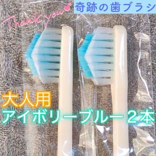 【新品】奇跡の歯ブラシ 大人用 アイボリーブルー〔2本セット〕