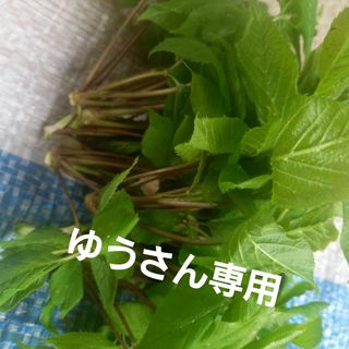 こしあぶら～スズコセット(野菜)