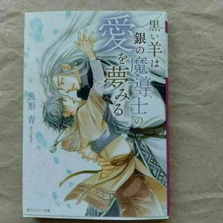 黒い羊は銀の魔導士の愛を夢みる(ボーイズラブ(BL))