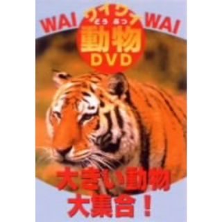 ワイワイ動物ＤＶＤ　大きい動物大集合！(キッズ/ファミリー)