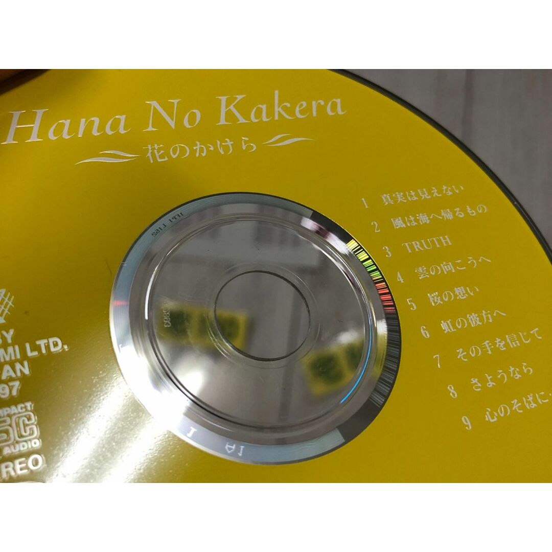 3-#CD 松坂晶子 花のかけら 帯付 TOCT-9781 ケース黄ばみ有 ディスクキズ有 シティポップ 1997年 真実は見えない 風は海へ帰るもの TRUTH エンタメ/ホビーのCD(ポップス/ロック(邦楽))の商品写真