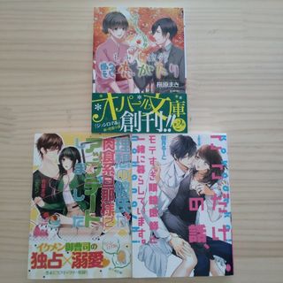 TL小説3冊セット　オパール文庫(文学/小説)