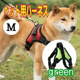 犬用ハーネス M 緑 グリーン 犬用首輪 ペット用品 簡単 犬用胴輪 犬 ドッグ(犬)