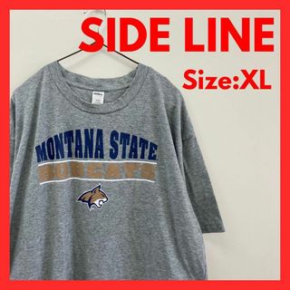 【美品】古着　モンタナ州立大学　カレッジロゴ　Tシャツ　メンズ　XL(Tシャツ/カットソー(半袖/袖なし))