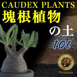 塊根植物の土Premium10㍑培養土　パキポディウム・アデニウム等　グラキリス