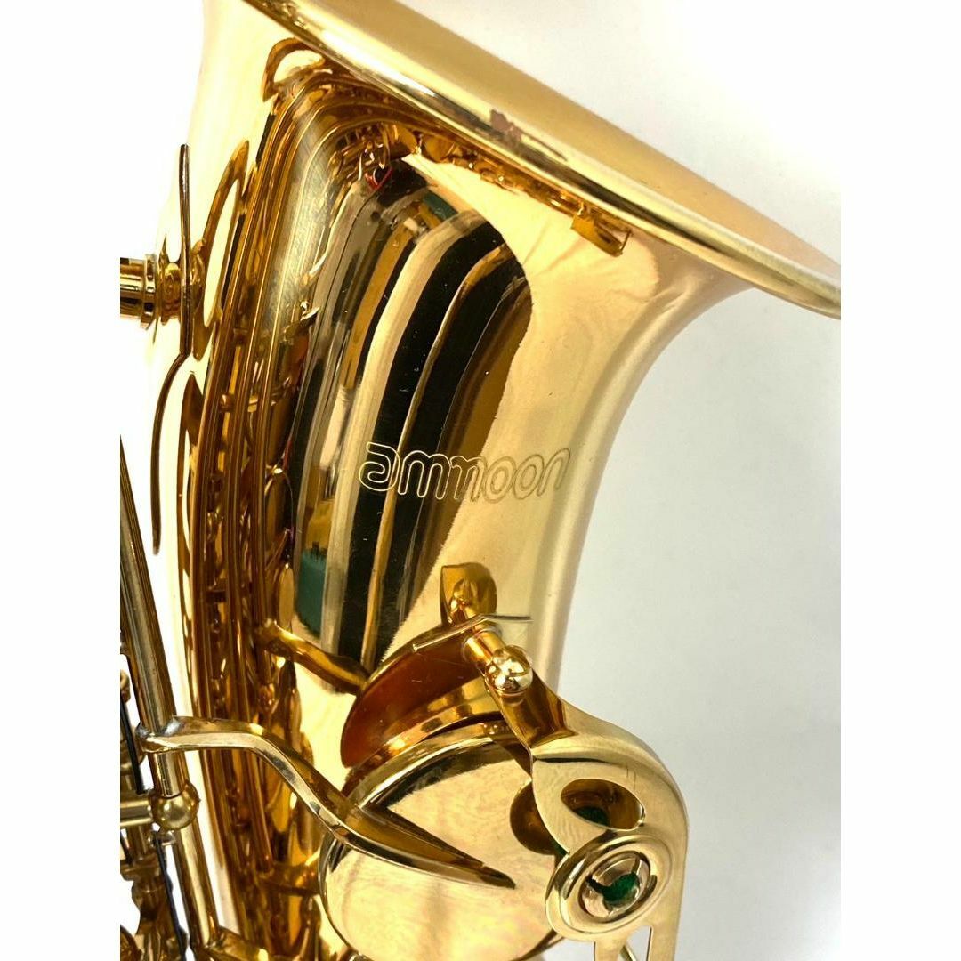 美品 AMMOON アルト サックス 管楽器 楽器 初心者 やさしい 楽器の管楽器(サックス)の商品写真