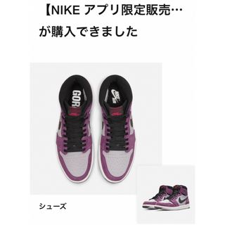 ナイキ(NIKE)のNike Air Jordan 1 Element GORE-TEX Berry(スニーカー)