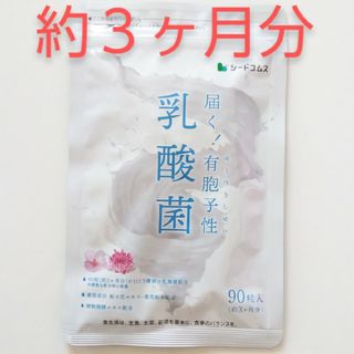 新品 約３ヶ月分 乳酸菌 届く有胞子性 シードコムス サプリメント(その他)