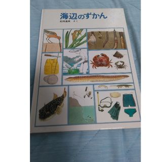 【フォロー割あり】海辺のずかん　絵本　5才から9才むけ(絵本/児童書)