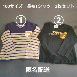 チャンピオン(Champion)の【100サイズ】【2枚セット】キッズ　長袖　Tシャツ(Tシャツ/カットソー)