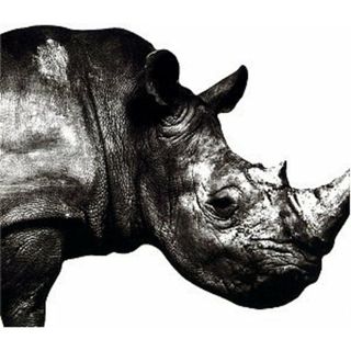 (CD)Mr.Children 1992-1995／Mr.Children