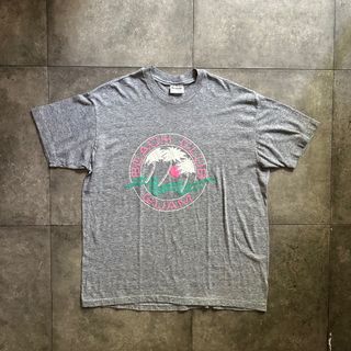 80s stedman ステッドマン ヴィンテージtシャツ USA製 XL (Tシャツ/カットソー(半袖/袖なし))