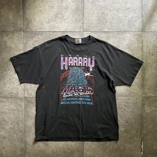 ヘインズ(Hanes)の90s Hanes ヘインズ バンドtシャツ franz harary USA製(Tシャツ/カットソー(半袖/袖なし))