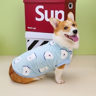 【残り僅か】子犬柄 コーギー 秋冬 犬服 ブルー Sサイズ(犬)