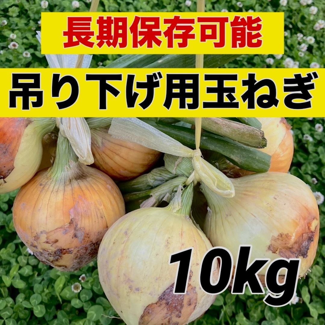 今年も販売‼️吊るして保存できる‼️玉ねぎ10キロ入 食品/飲料/酒の食品(野菜)の商品写真