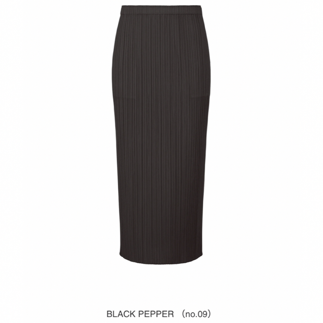 PLEATS PLEASE ISSEY MIYAKE(プリーツプリーズイッセイミヤケ)のPLEATS PLEASE ISSEY MIYAKE BLACK PEPPER レディースのスカート(その他)の商品写真