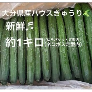 新鮮　大分県産ハウスきゅうり　（胡瓜　キュウリ(野菜)