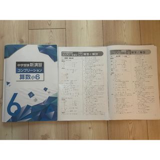 中学受験　新演習　コンプリーション　算数小６年(語学/参考書)