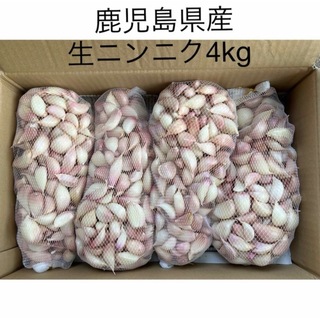 鹿児島県産生ニンニク4kg(野菜)