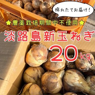 【産地直送】美味しい♪ 農薬栽培期間中不使用 淡路島新玉ねぎ 20kg